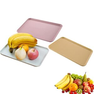 3 Pieces Fast Food Trays for Kitchen Fruit Trays Rectangle